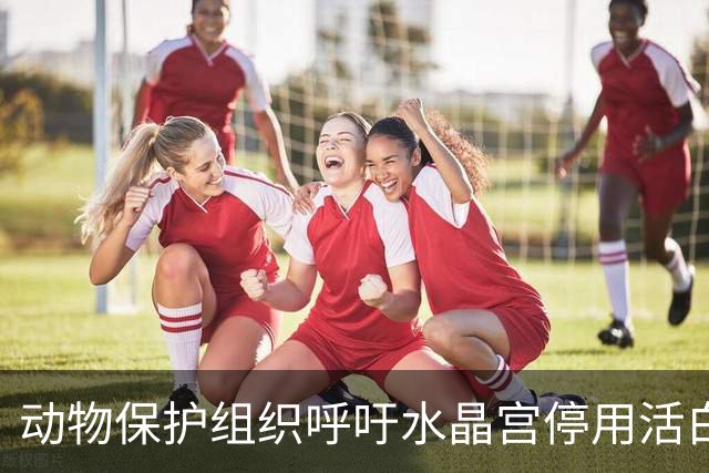 动物保护组织呼吁水晶宫停用活白头海雕做吉祥物